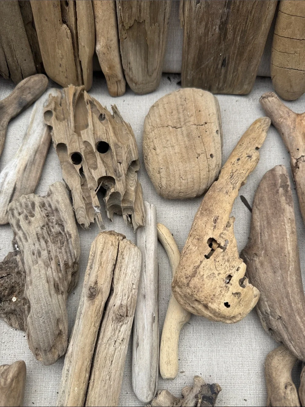 43 pc for (5 lbs shipped) Box of Natural Driftwood Pieces Decor Crafts Projects